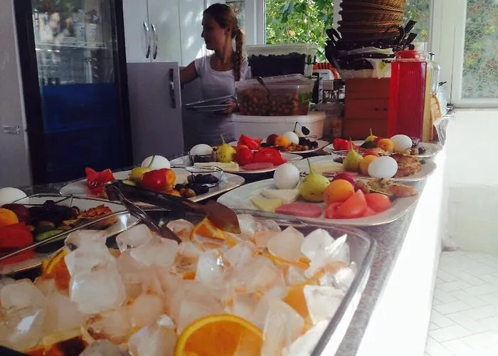 酒店 尼萨酒店 *